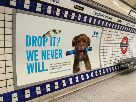 battersea dog and cat rescue.
